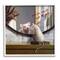 Stupell Industries Small but Mighty Sentiments Adorable Mouse in Mirror in White Frame Wall Art